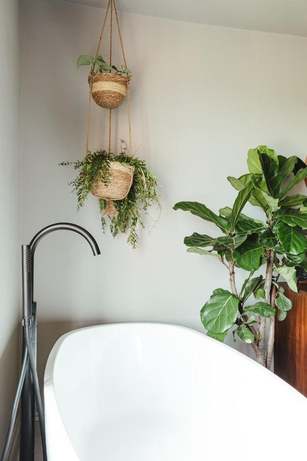 The Fig Bed & Breakfast Rye Luaran gambar